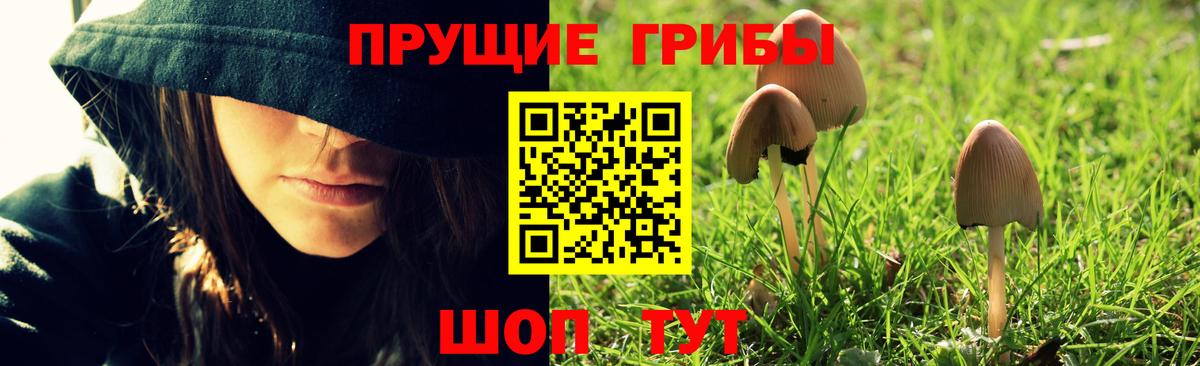 Черкесск  Галлюциногенные грибы GOLDEN TEACHER  Вход с VPN 